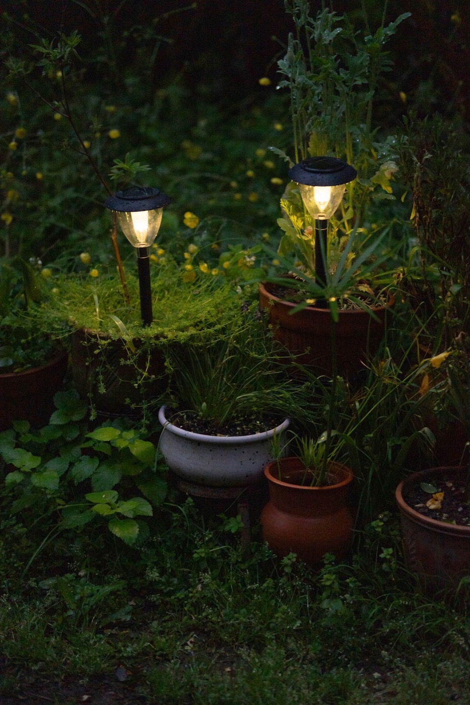 Two small post lights glowing among potted plants and greenery at night